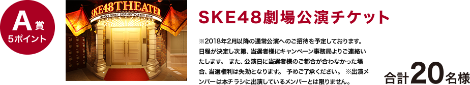 A賞5ポイント SKE48劇場公演チケット