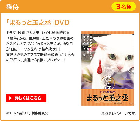猫侍 「まるっと玉之丞」DVD