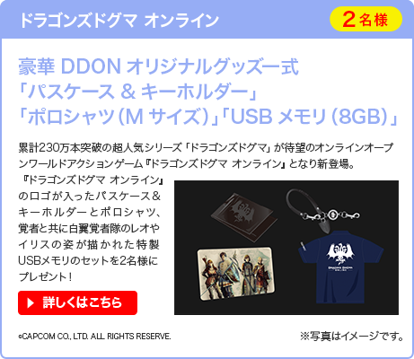 ドラゴンズドグマ オンライン　豪華DDONオリジナルグッズ一式「パスケース&キーホルダー」「ポロシャツ（Mサイズ）」「USBメモリ（8GB）」