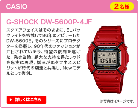 CASIO G-SHOCK DW-5600P-4JF