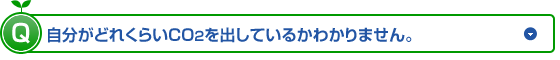 Q�������ǂꂭ�炢CO2���o���Ă��邩�킩��܂���B(�N���b�N���Ă��������B)
