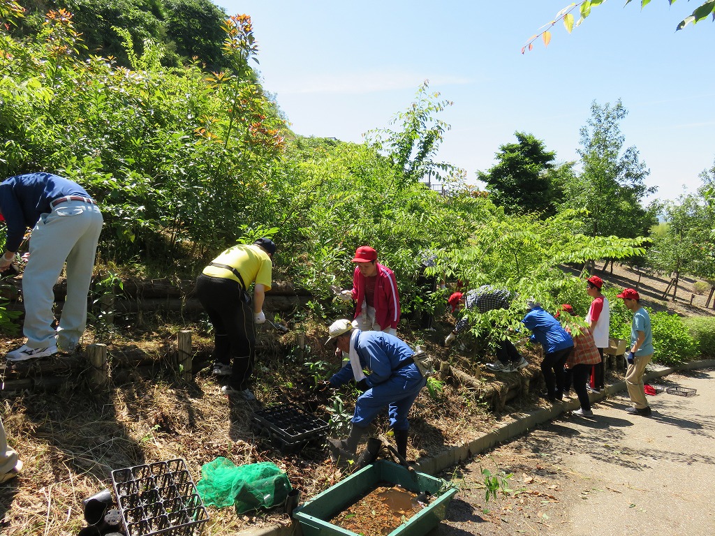福井県鯖江市大谷公園「京都とかわだを結ぶ未来への森づくりプロジェクト」整備事業