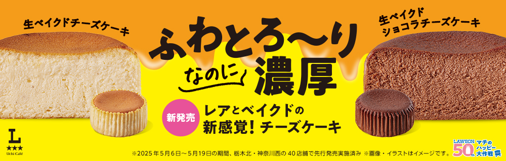 レアとベイクドの新感覚!チーズケーキ
