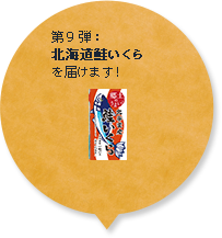 第9弾：北海道産鮭いくら