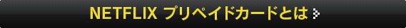 NETDLIX プリペイドカードとは