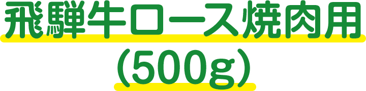 飛騨牛ロース焼肉用（500g）