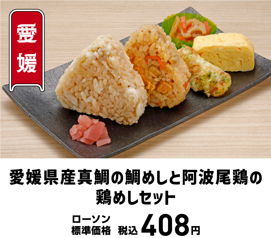 愛媛県産真鯛の鯛めしと阿波尾鶏の鶏めしセット