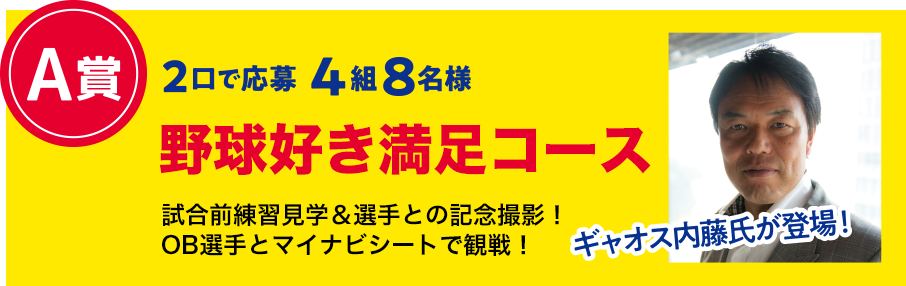 A賞 2口で応募 4組8名様 野球好き満足コース