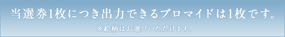 当選券1枚につき出力できるブロマイドは1枚です。 ※絵柄はお選びいただけます。