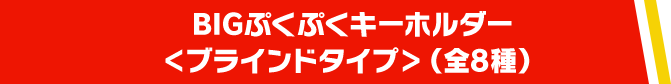 BIGぷくぷくキーホルダー<ブラインドタイプ>（全8種）