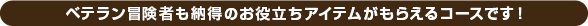 ベテラン冒険者も納得のお役立ちアイテムがもらえるコースです！