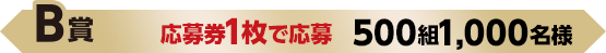 B賞 応募券1枚で応募 500組1,000名様