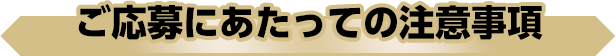 ご応募にあたっての注意事項