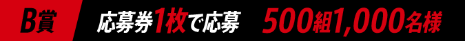 B賞 応募券1枚で応募 500組1,000名様