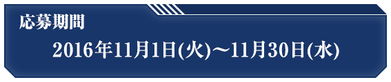 応募期間 2016年11月1日(火)〜11月30日(水)