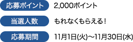 応募ポイント 2,000ポイント 当選人数 もれなくもらえる! 応募期間 11月1日(火)〜11月30日(水)