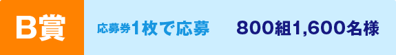 B賞 応募券1枚で応募 800組1,600名様