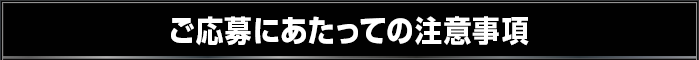 ご応募にあたっての注意事項