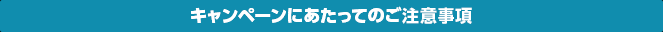キャンペーンにあたってのご注意事項