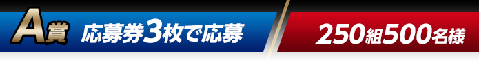 A賞 応募券3枚で応募（250組500名様）