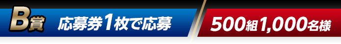 B賞 応募券1枚で応募（500組1,000名様）