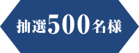 抽選500名様