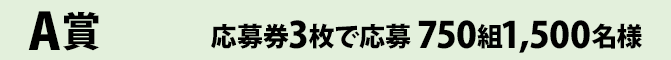 A賞 応募券3枚で応募 750組1,500名様