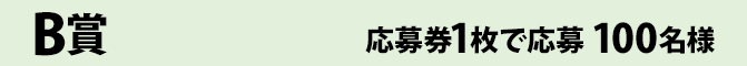 B賞 応募券1枚で応募 100名様