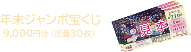 年末ジャンボ宝くじ 9,000円分（連番30枚）