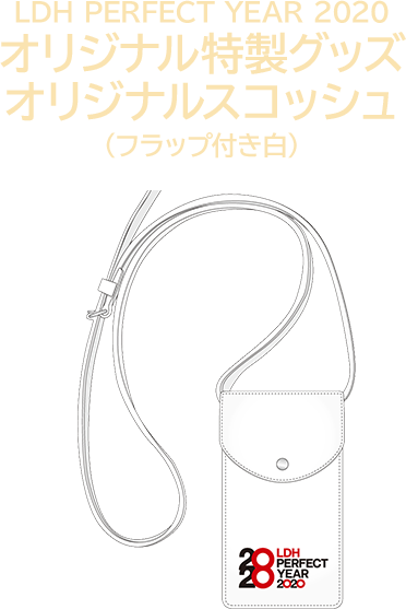 LDH　PERFECT　YEAR　2020 オリジナル特製グッズ オリジナルスコッシュ（フラップ付き白）