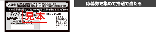 抽選で合計2,905名様に当たる!