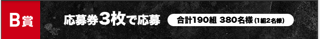 B賞 応募券3枚で応募 合計190組 380名様(1組2名様)