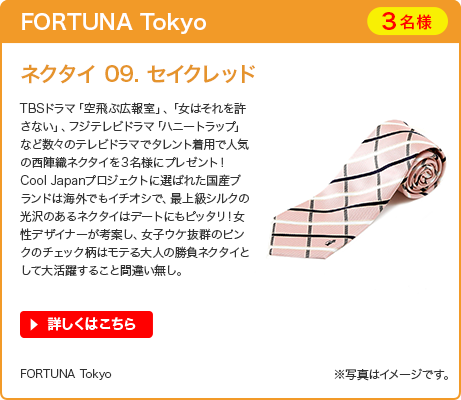FORTUNA Tokyo ネクタイ 09. セイクレッド