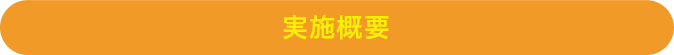 実施概要