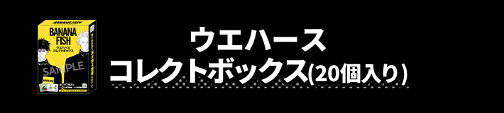 ウエハース コレクトボックス(20個入り)