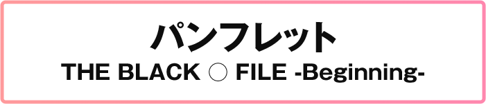 パンフレット THE BLACK ○ FILE -Beginning-