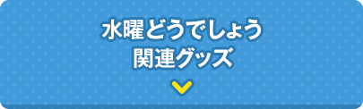 水曜どうでしょうオフィシャルグッズ