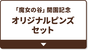 「魔女の谷」開園記念 オリジナルピンズ セット