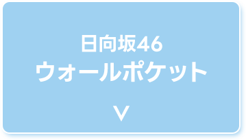 日向坂46 ウォールポケット