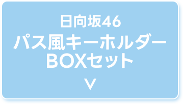日向坂46 パス風キーホルダーBOXセット