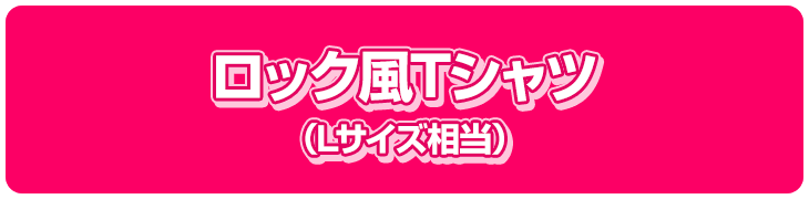 ロック風Tシャツ(Lサイズ相当)