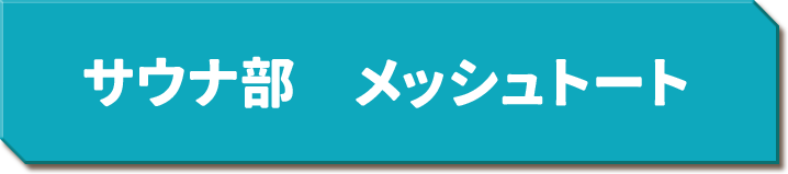 サウナ部　メッシュトート