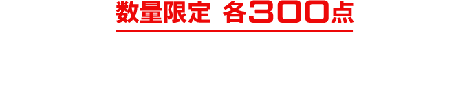 数量限定 各300点 数量限定のため、予定数に達し次第、受付を終了いたします。あらかじめご了承ください。