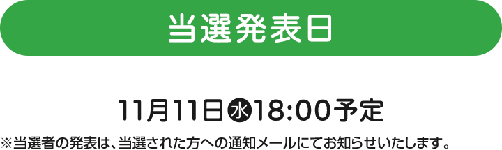 当選発表日