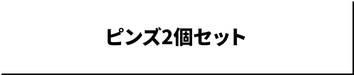 ピンズ2個セット