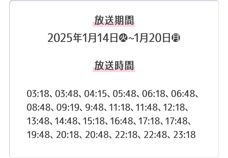 放送期間 放送時間