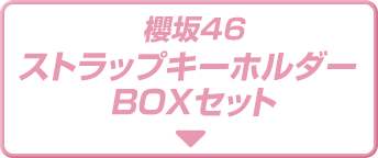 櫻坂46 ストラップキーホルダーBOXセット