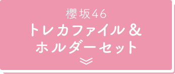 櫻坂46 トレカファイル＆ホルダーセット