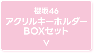 櫻坂46 アクリルキーホルダーBOXセット