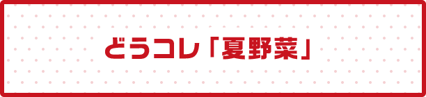 どうコレ「夏野菜」